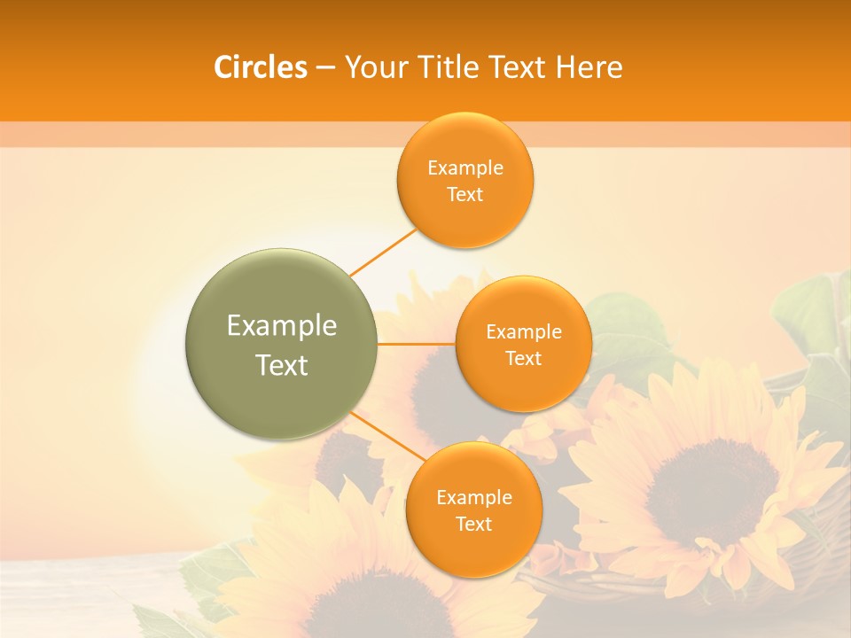 Teamwork Meeting Office PowerPoint Template