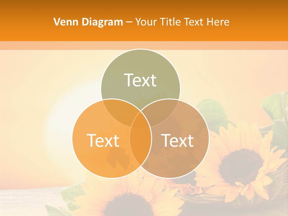 Teamwork Meeting Office PowerPoint Template