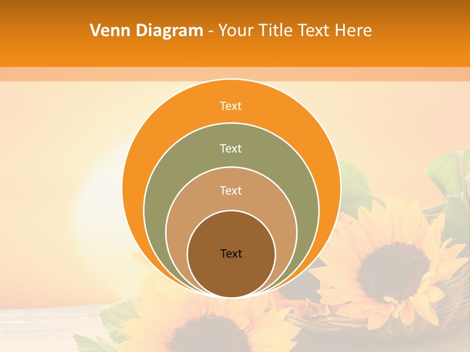 Teamwork Meeting Office PowerPoint Template