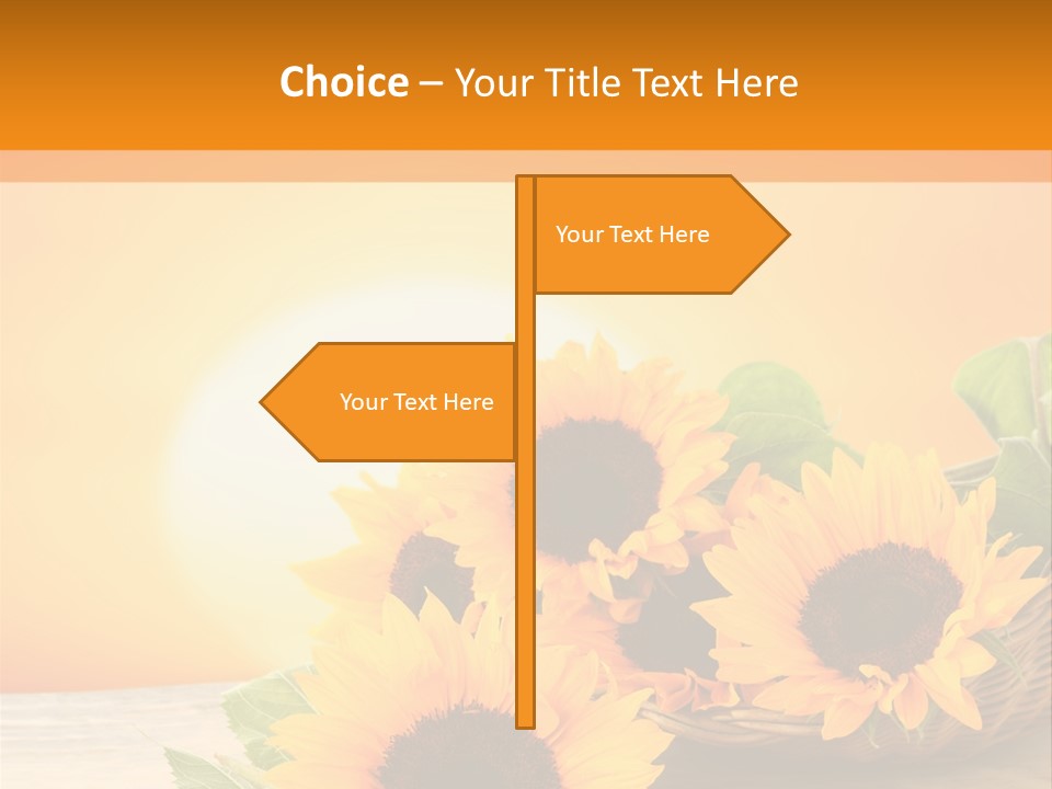 Teamwork Meeting Office PowerPoint Template