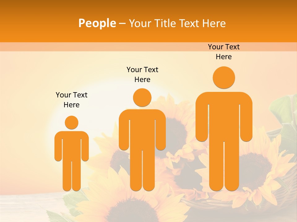 Teamwork Meeting Office PowerPoint Template