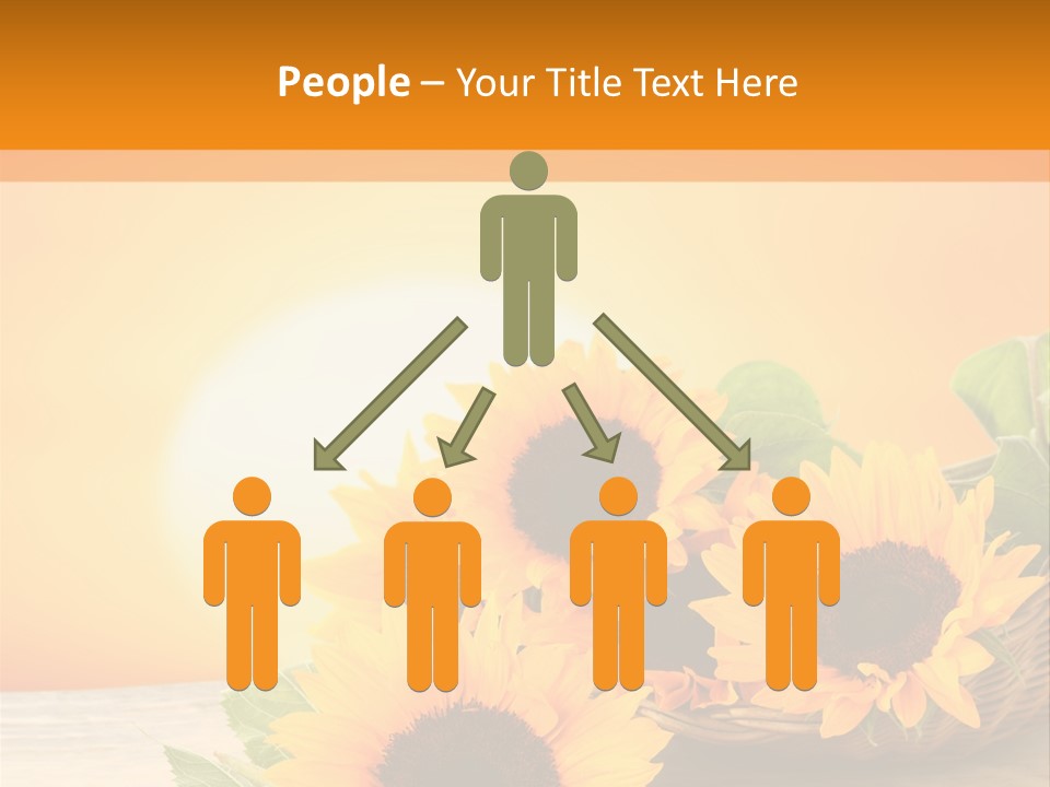 Teamwork Meeting Office PowerPoint Template