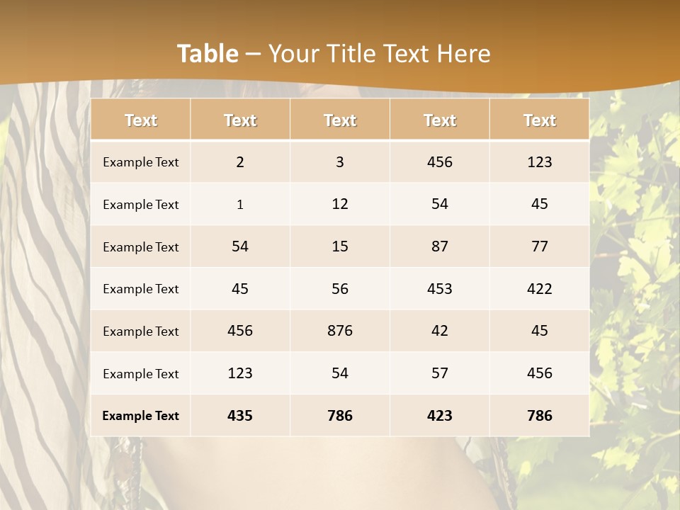 Swimwear Summer Beautiful PowerPoint Template