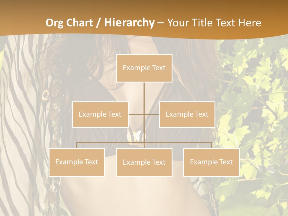 Swimwear Summer Beautiful PowerPoint Template