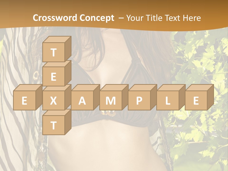 Swimwear Summer Beautiful PowerPoint Template