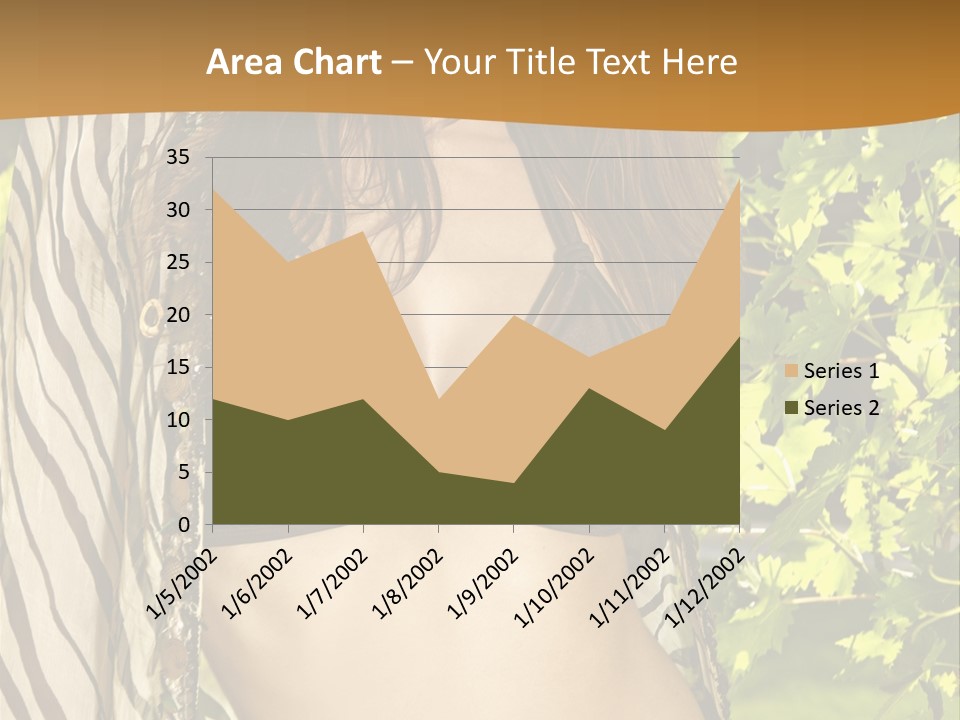 Swimwear Summer Beautiful PowerPoint Template