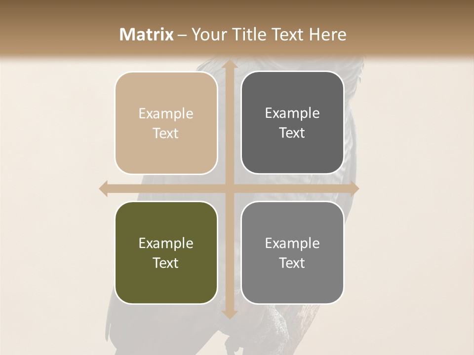 Color Alertness Zoo PowerPoint Template