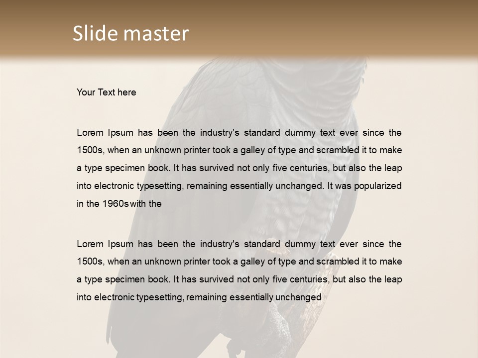 Color Alertness Zoo PowerPoint Template