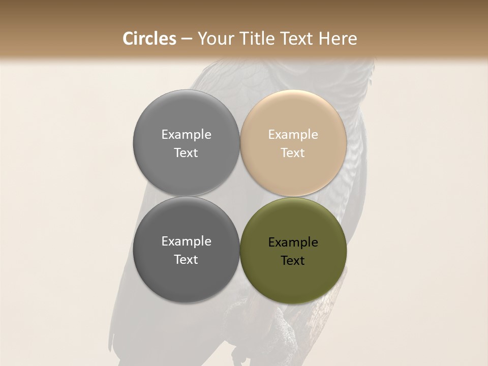 Color Alertness Zoo PowerPoint Template