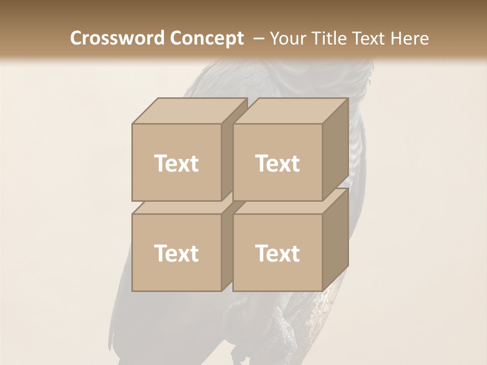 Color Alertness Zoo PowerPoint Template