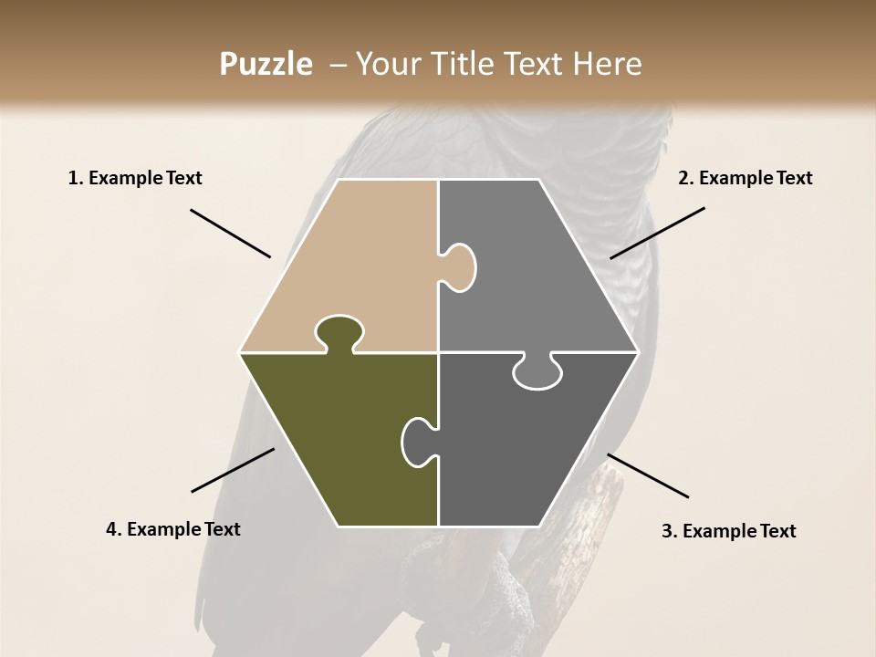 Color Alertness Zoo PowerPoint Template