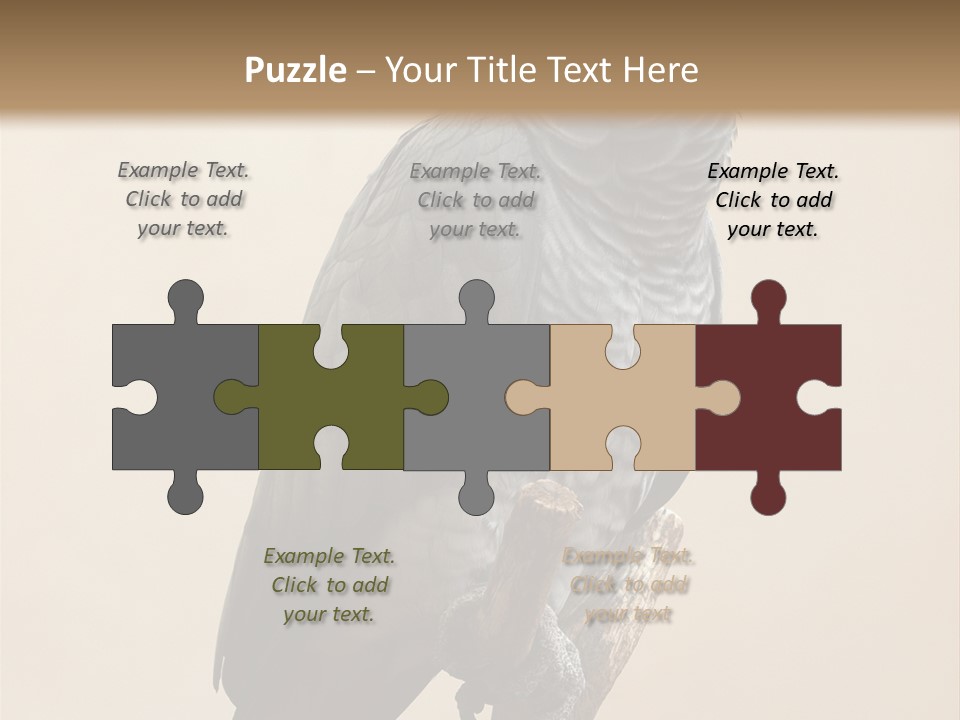 Color Alertness Zoo PowerPoint Template