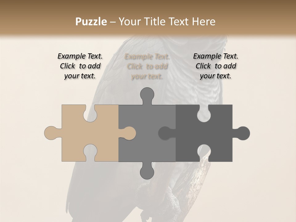 Color Alertness Zoo PowerPoint Template