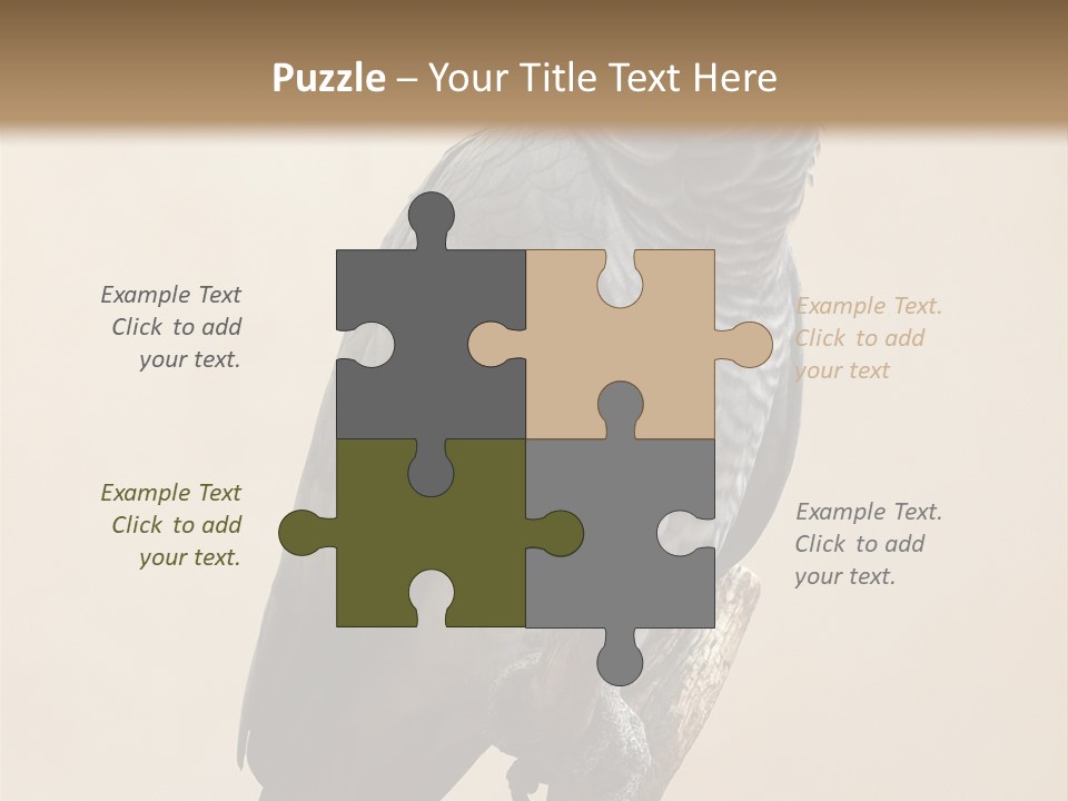 Color Alertness Zoo PowerPoint Template