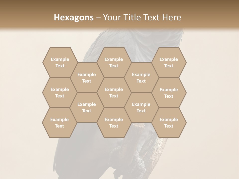 Color Alertness Zoo PowerPoint Template