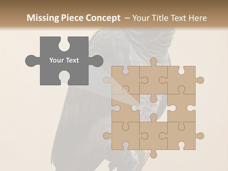 Color Alertness Zoo PowerPoint Template