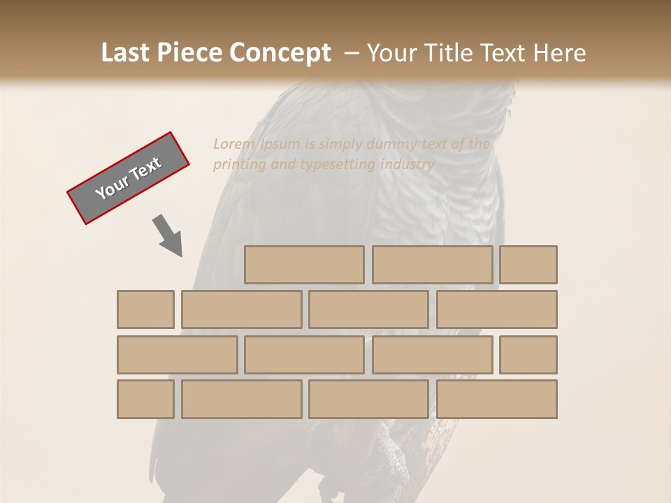 Color Alertness Zoo PowerPoint Template