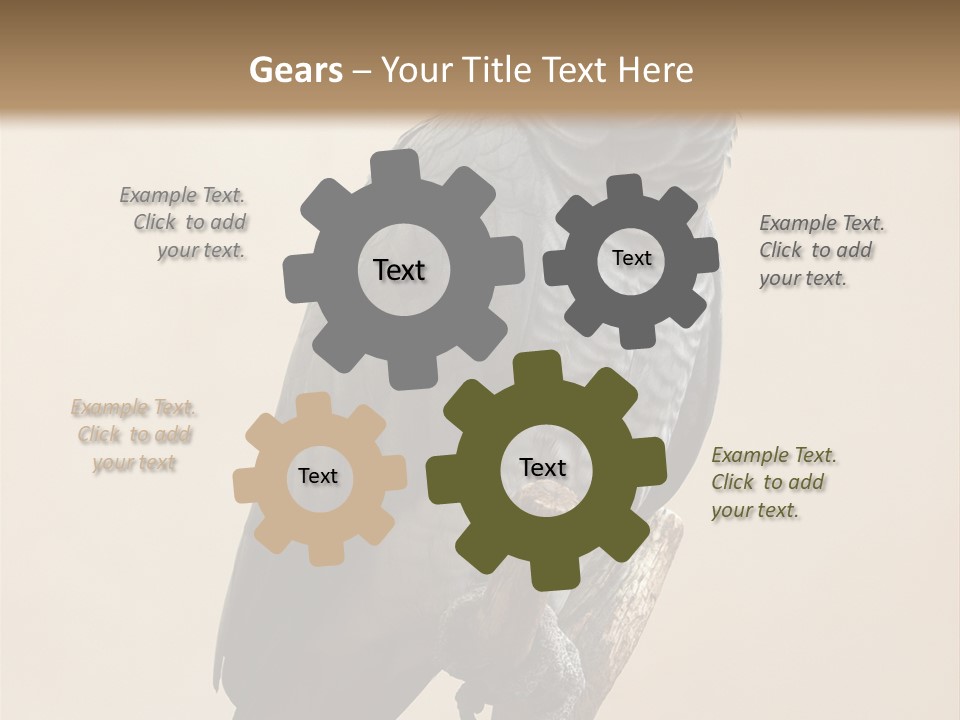 Color Alertness Zoo PowerPoint Template