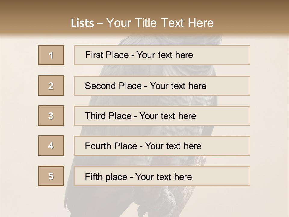 Color Alertness Zoo PowerPoint Template