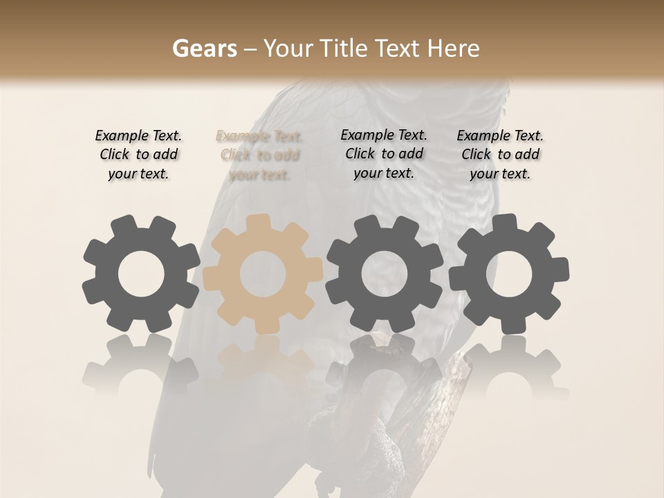 Color Alertness Zoo PowerPoint Template