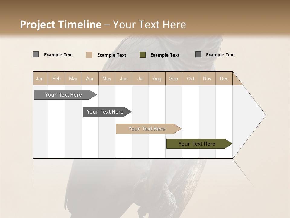 Color Alertness Zoo PowerPoint Template