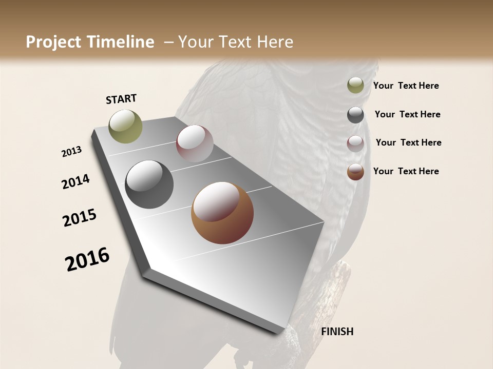 Color Alertness Zoo PowerPoint Template