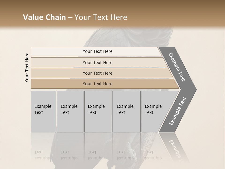 Color Alertness Zoo PowerPoint Template