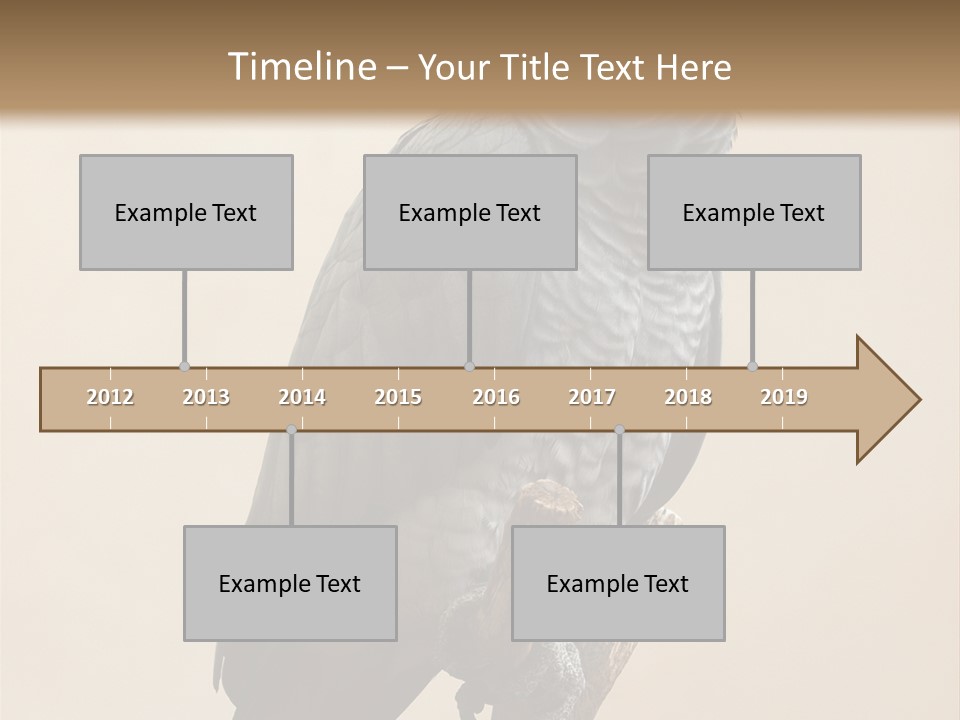 Color Alertness Zoo PowerPoint Template