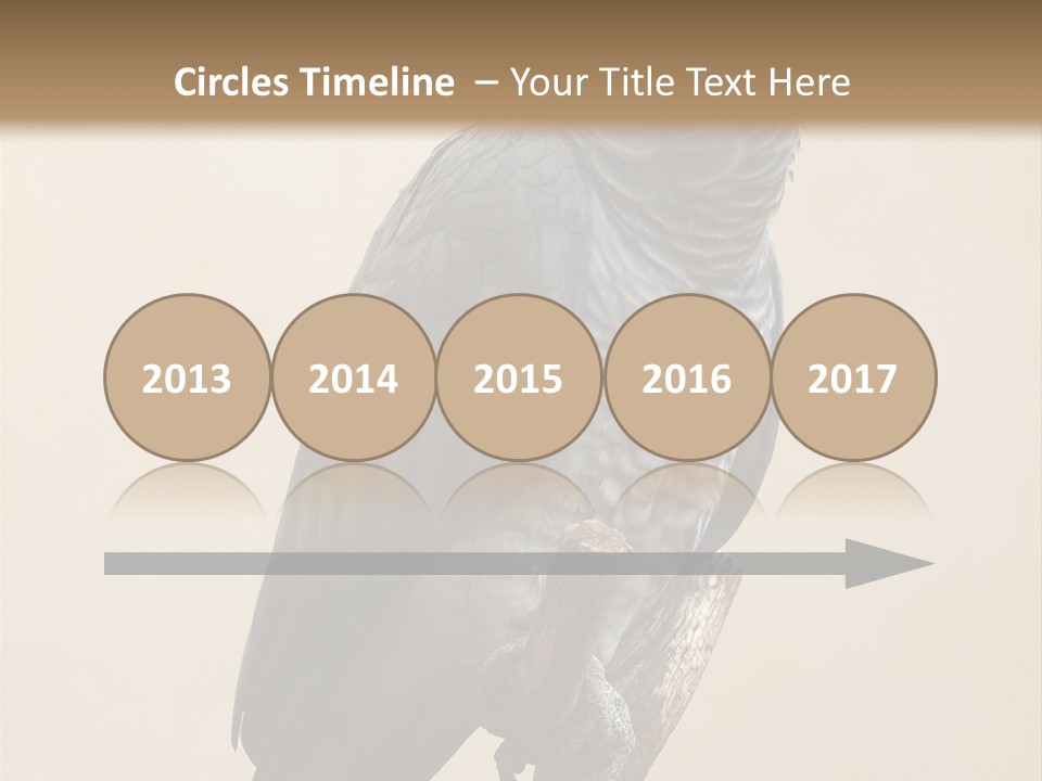 Color Alertness Zoo PowerPoint Template