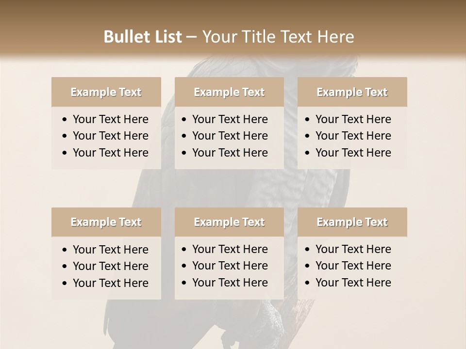 Color Alertness Zoo PowerPoint Template