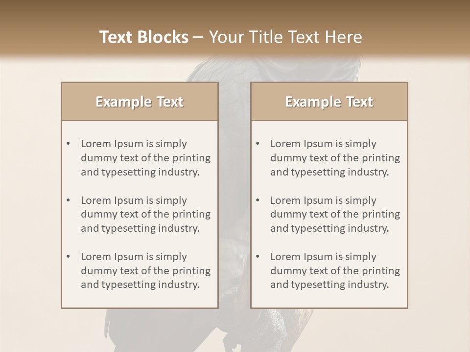 Color Alertness Zoo PowerPoint Template
