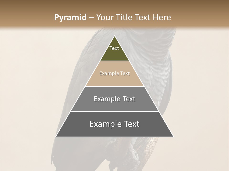 Color Alertness Zoo PowerPoint Template