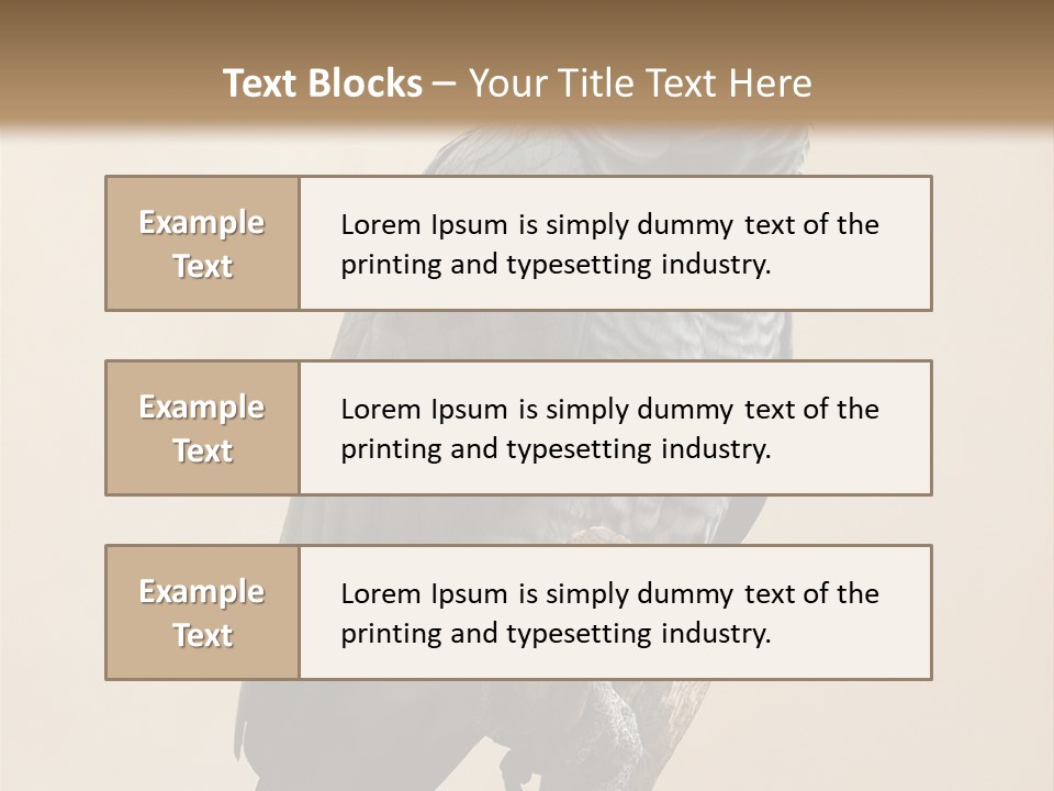 Color Alertness Zoo PowerPoint Template