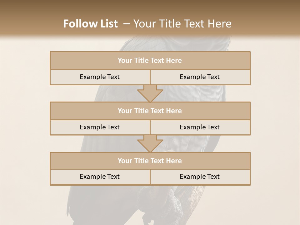 Color Alertness Zoo PowerPoint Template