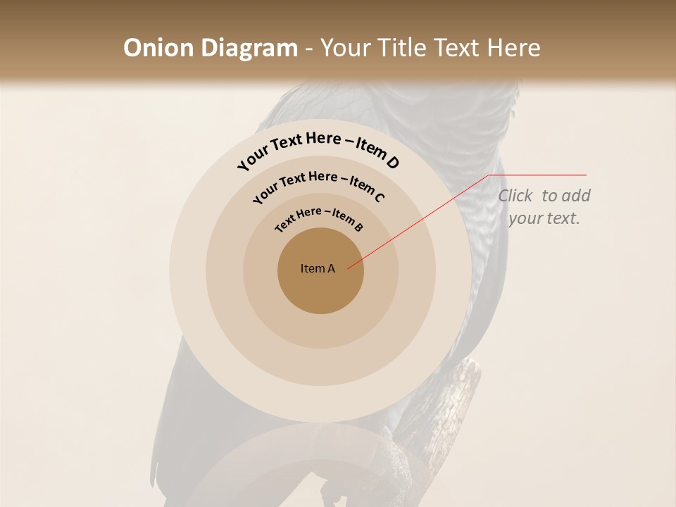 Color Alertness Zoo PowerPoint Template