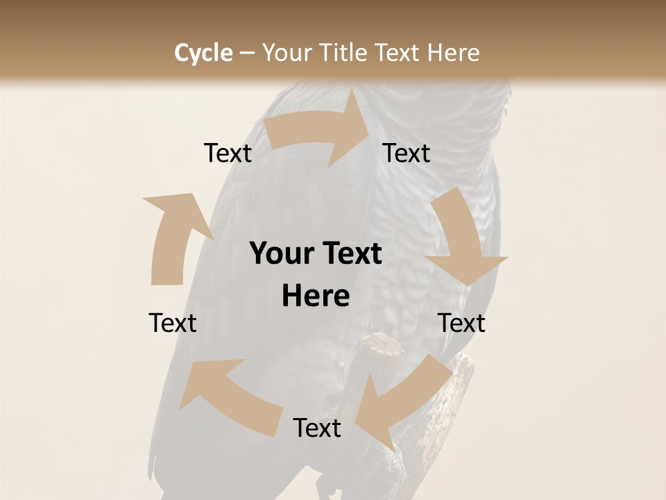 Color Alertness Zoo PowerPoint Template