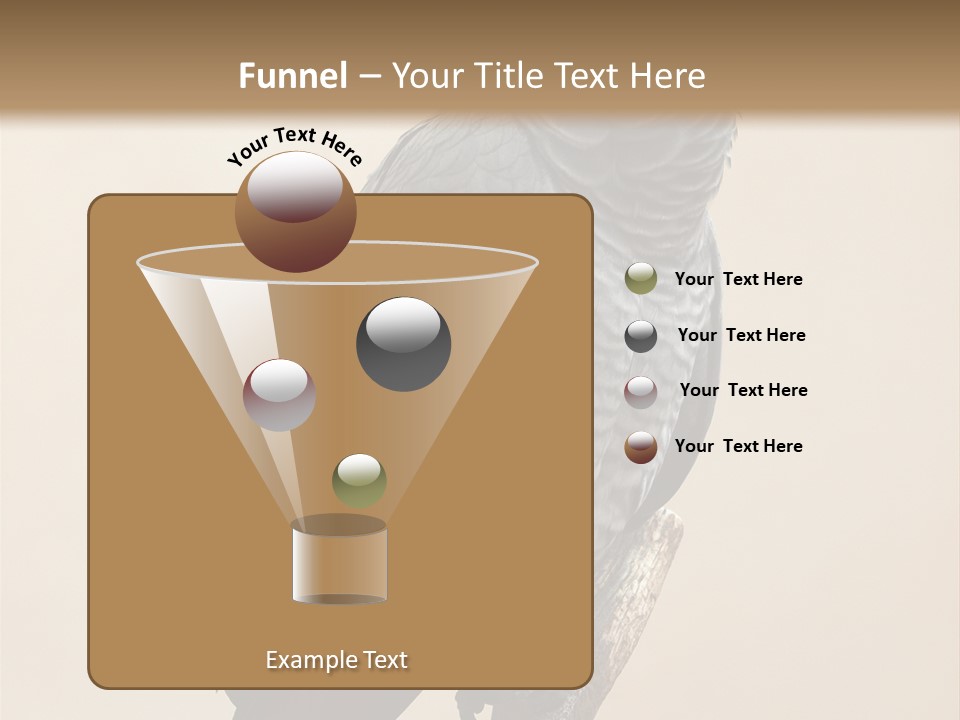 Color Alertness Zoo PowerPoint Template