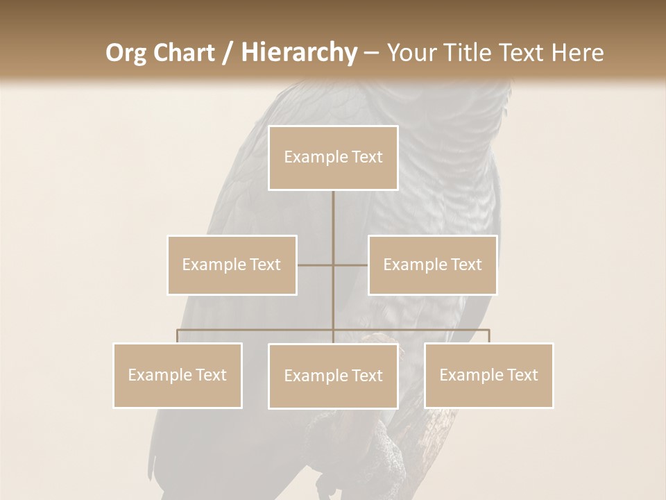 Color Alertness Zoo PowerPoint Template