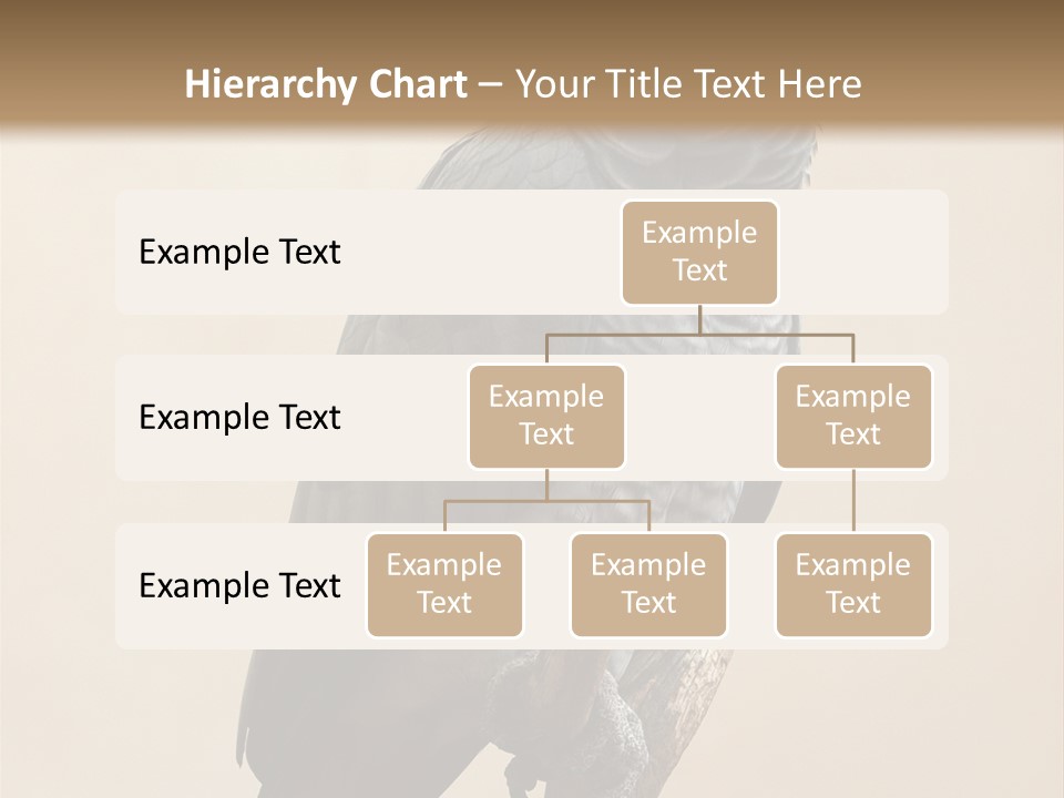 Color Alertness Zoo PowerPoint Template