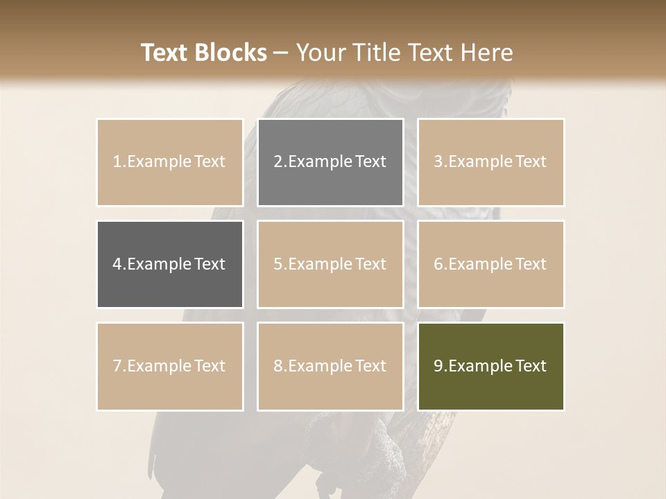 Color Alertness Zoo PowerPoint Template