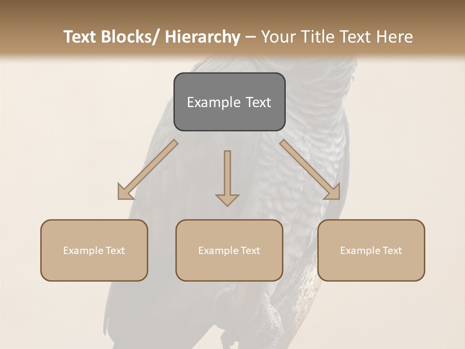 Color Alertness Zoo PowerPoint Template