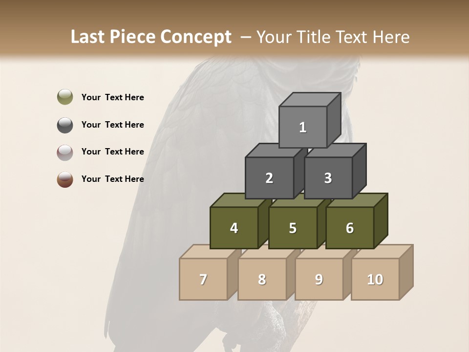 Color Alertness Zoo PowerPoint Template