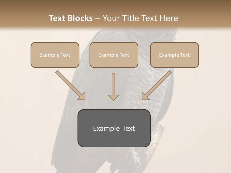 Color Alertness Zoo PowerPoint Template