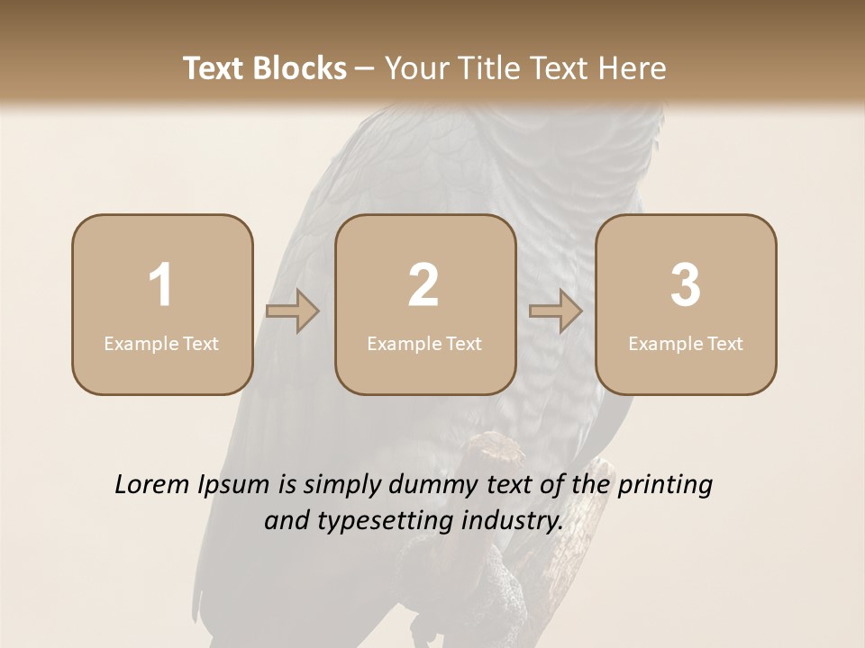 Color Alertness Zoo PowerPoint Template