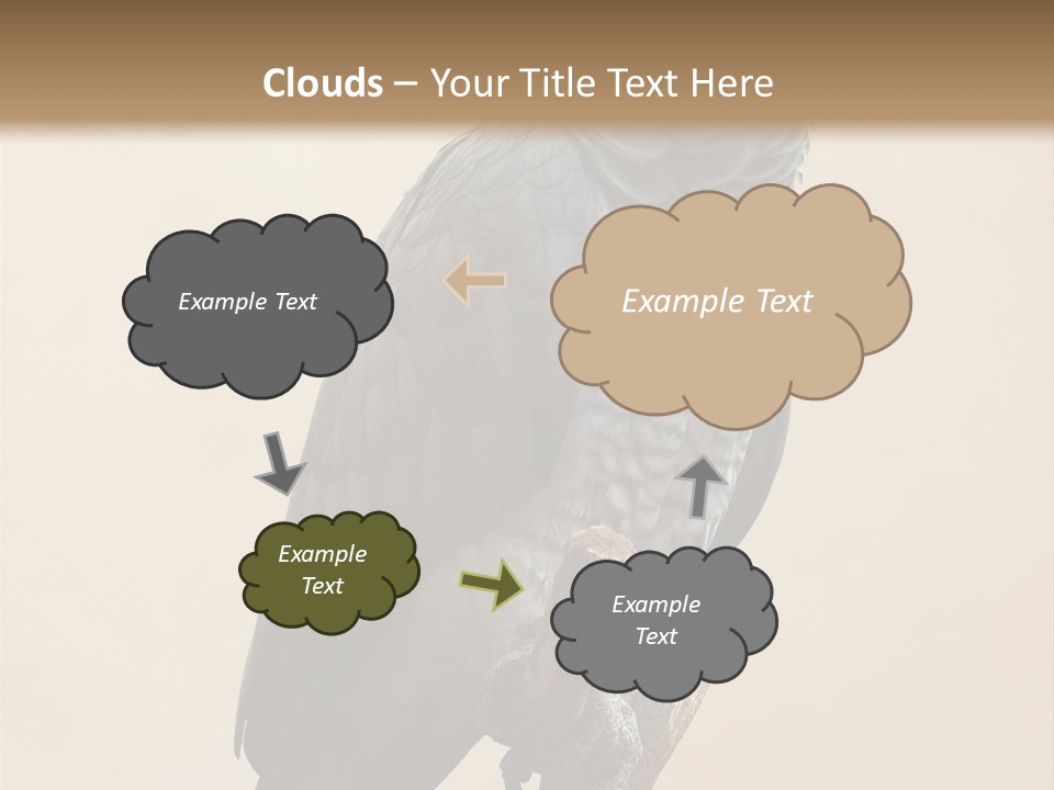 Color Alertness Zoo PowerPoint Template