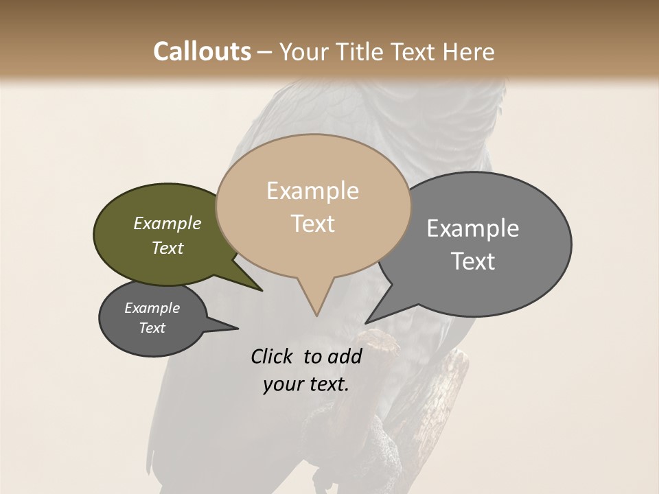 Color Alertness Zoo PowerPoint Template