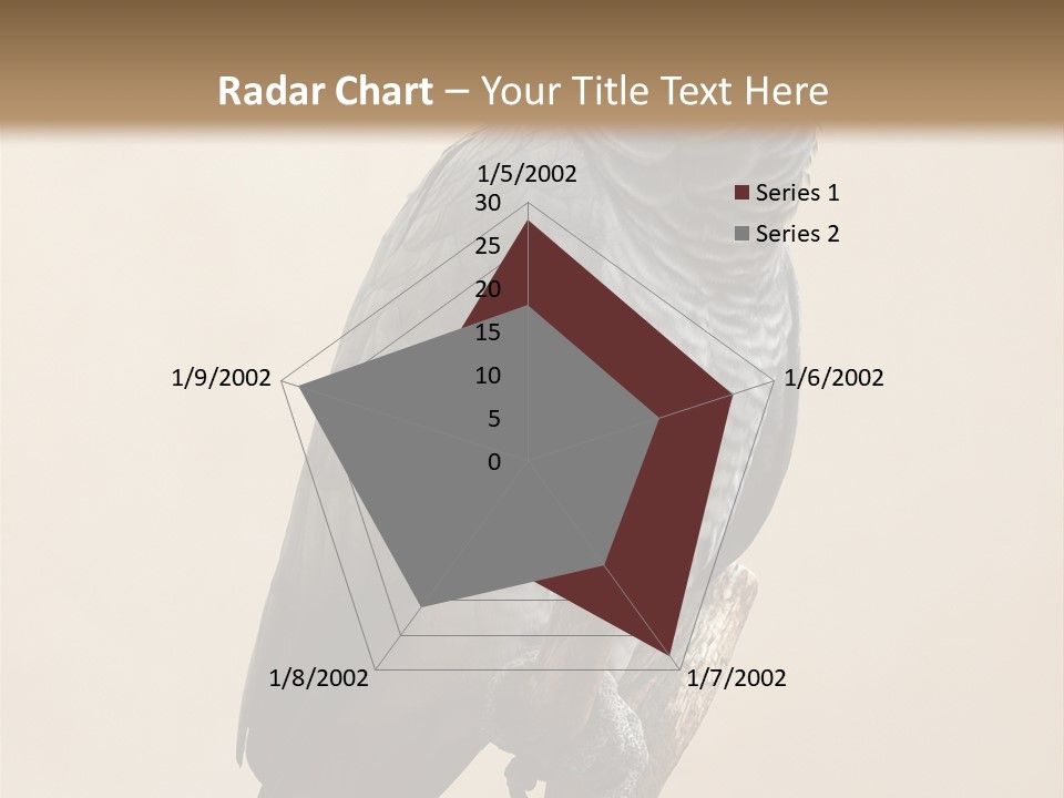 Color Alertness Zoo PowerPoint Template