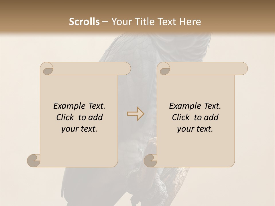 Color Alertness Zoo PowerPoint Template
