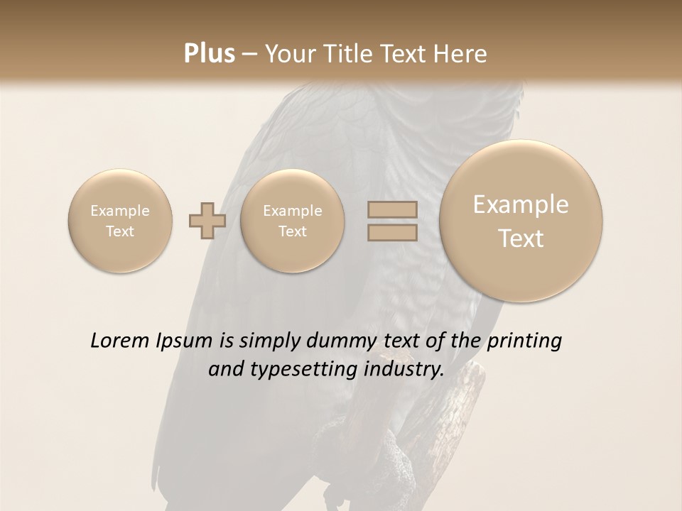 Color Alertness Zoo PowerPoint Template