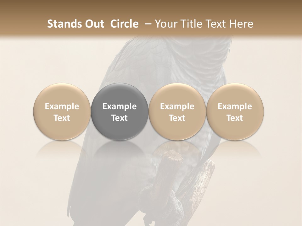 Color Alertness Zoo PowerPoint Template